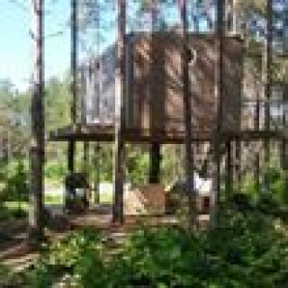 Afbeelding voor Natuurhuisje - Boomhut in Estland