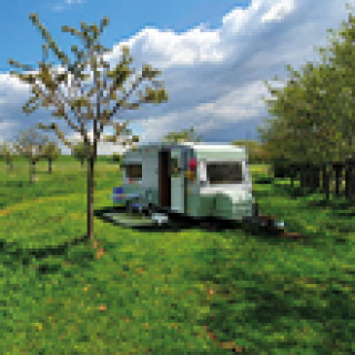 Afbeelding voor Campspace - Micro-campings in Gelderland