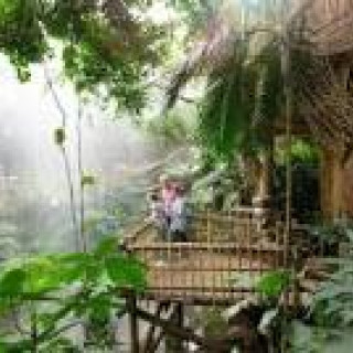 Afbeelding voor Center Parcs - Jungle cabana Heijderbos