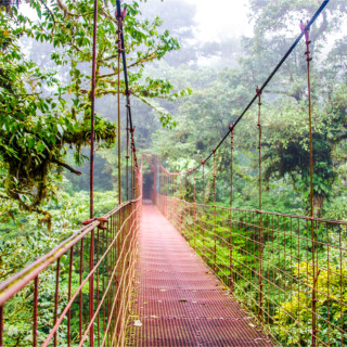 Afbeelding voor Wandelen in Monteverde