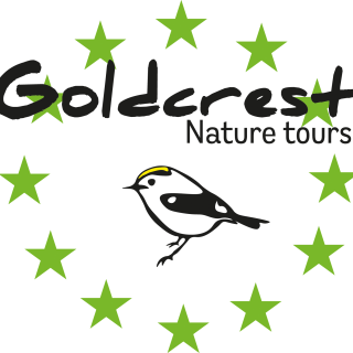 Afbeelding voor Goldcrest Nature Tours