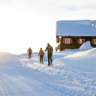 Afbeelding voor Roy Reizen - Sneeuwschoenwandelreis