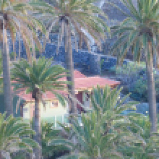 Afbeelding voor Natuurhuisje - Tussen de palmen