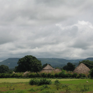 Afbeelding voor Guinee natuur