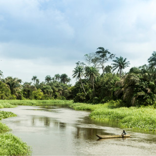 Afbeelding voor Ivoorkust natuur