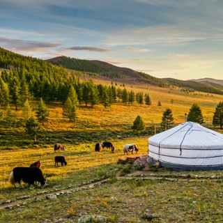 Afbeelding voor Mongolië
