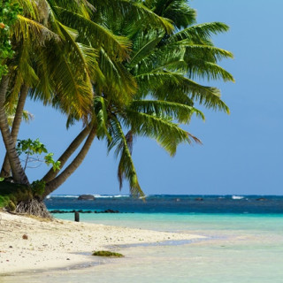 Afbeelding voor Malediven
