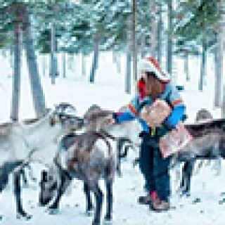 Afbeelding voor Tiara Tours - Treinreis Zweeds Lapland