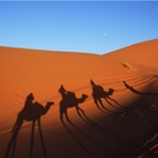 Afbeelding voor Maroc Travel - Woestijnreizen Marokko