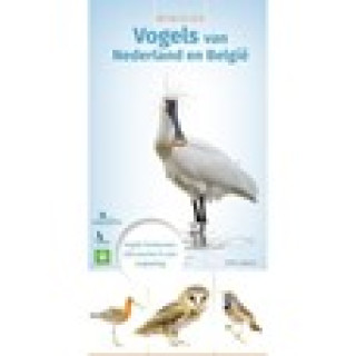 Afbeelding voor Tip: Veldgids Vogels in Nederland en België
