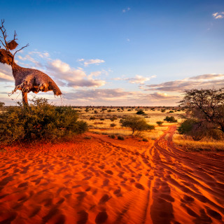 Afbeelding voor Woestijn in Namibie