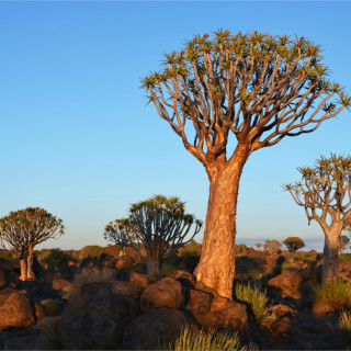 Afbeelding voor Keetmanshoop in Namibië