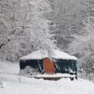 Afbeelding voor Natuurhuisje - Overnachten in een yurt