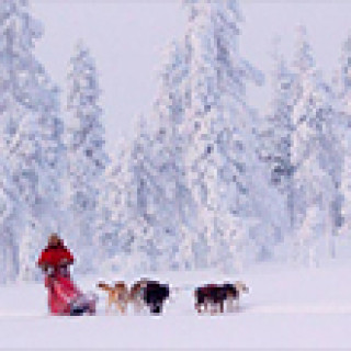 Afbeelding voor Nordic -6-daagse huskytocht Lapland