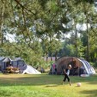 Afbeelding voor Ommerland Camping