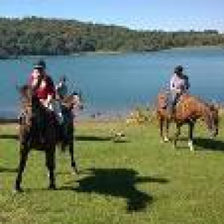 Afbeelding voor Book Horse Riding Holidays