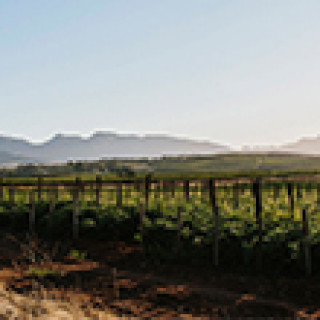 Afbeelding voor PANGEA Travel - Culinaire reis Zuid-Afrika