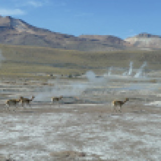 Afbeelding voor Sawadee - Rondreis Bolivia en Chili
