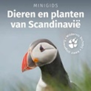 Afbeelding voor Natuurgidsjes - Scandinavië