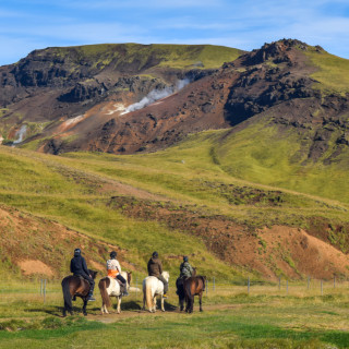 Afbeelding voor Paardrijden in IJsland