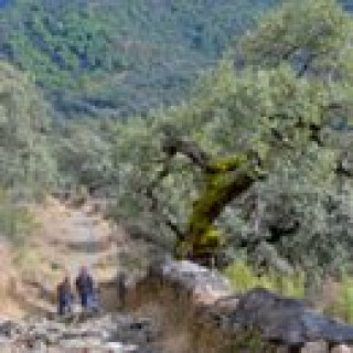 Afbeelding voor SNP - Wandelweek Sierra de Aracena