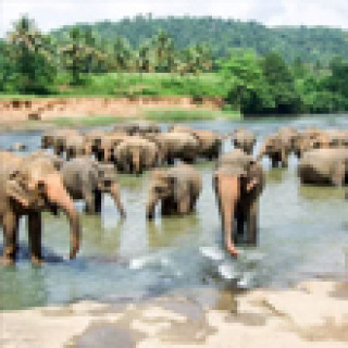 Afbeelding voor 333TRAVEL - Sri Lanka reizen
