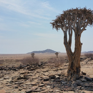 Afbeelding voor Namib Naukluft Park