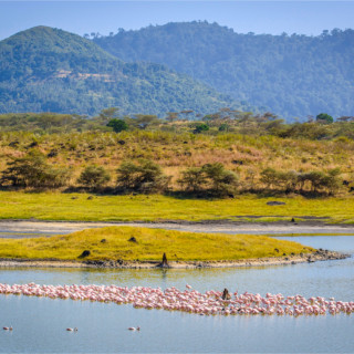 Afbeelding voor Arusha Nationaal Park