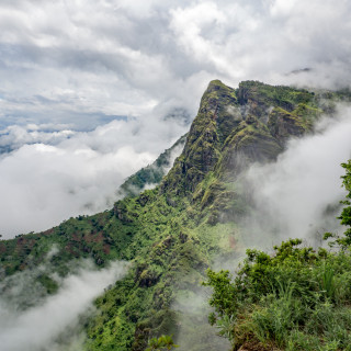 Afbeelding voor Usambara Mountains