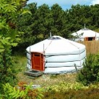 Afbeelding voor Texel.net - Mongoolse yurt