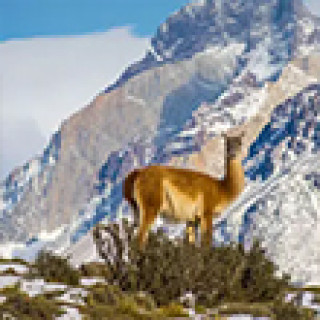 Afbeelding voor Van Verre - Bouwstenen Torres del Paine