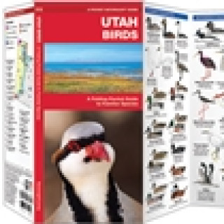 Afbeelding voor TIP - Utah vogelgids
