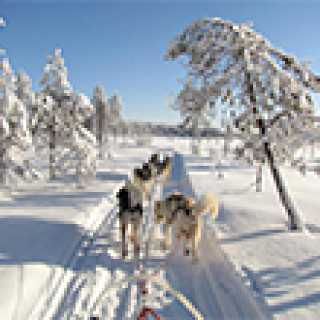 Afbeelding voor BBI Travel - Huskyavontuur Lapland