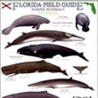 Afbeelding voor Natuurgidsjes - Zeezoogdierengids Florida