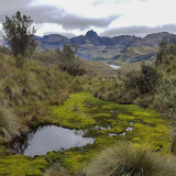 Afbeelding voor El Cajas Nationaal Park