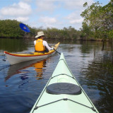 Afbeelding voor Kajakken in de Everglades