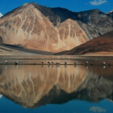Afbeelding voor Bergen in Ladakh
