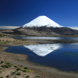 Afbeelding voor Natuur in Zuid-Amerika