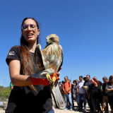 Afbeelding voor Vogels in de Algarve