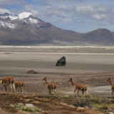 Afbeelding voor Chili natuur
