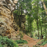 Afbeelding voor Natuur in de Eifel