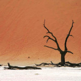 Afbeelding voor Namibië