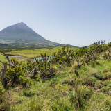 Afbeelding voor Vulkanen op de Azoren