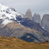 Afbeelding voor Wandelen in Patagonië