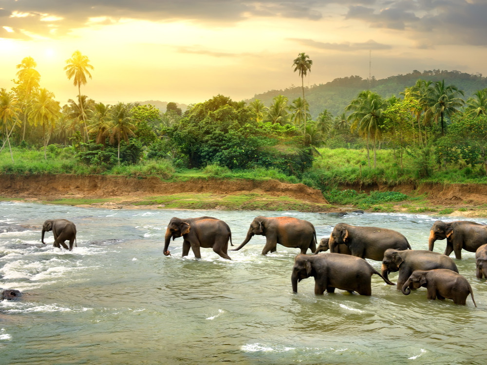 Natuurreis Sri Lanka