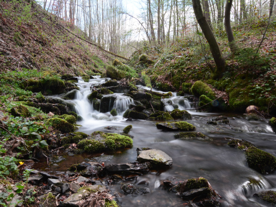 Saint Hubert Ardennen