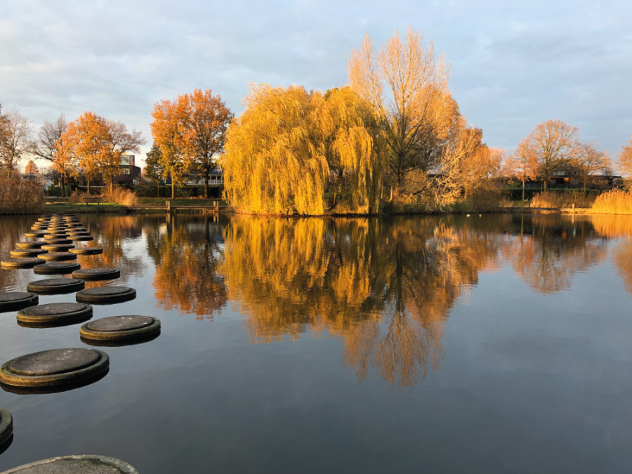 Stadsparken Amersfoort