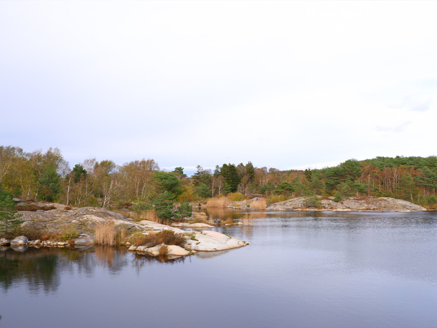 Natuur bij Lysekil