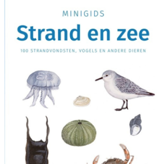 Afbeelding voor NatureScanner - Strand en Zee