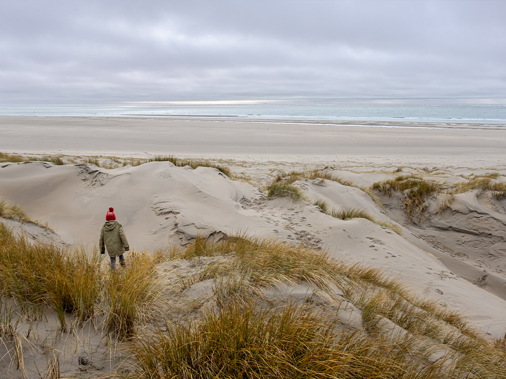 Wandelen op Texel